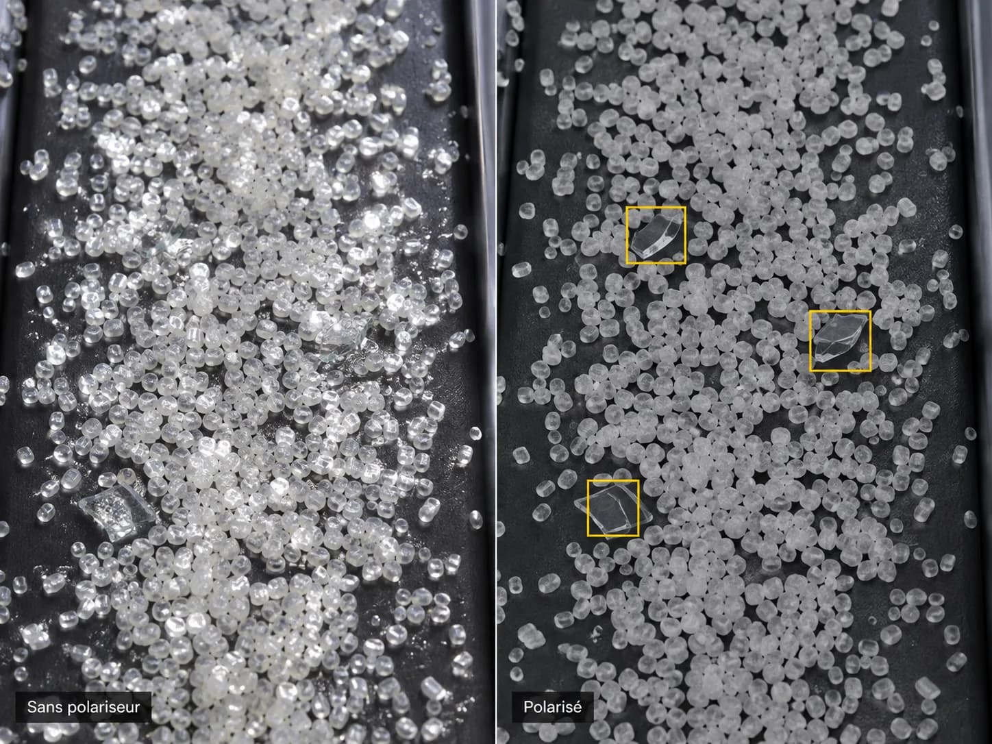 Vision industrielle : caméra monochrome VS polarisée